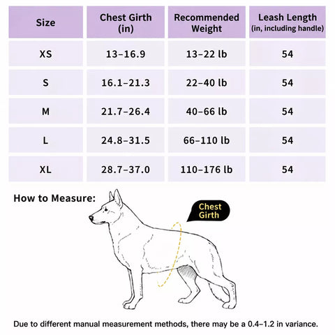 All-in-One Dog Harness with Leash