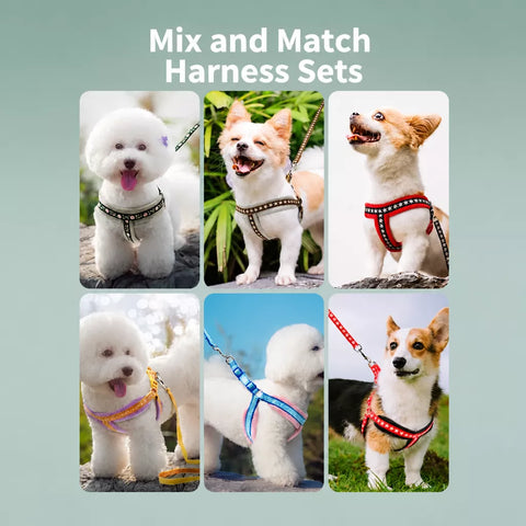 Small Dog Vest Harness and Leash Set
