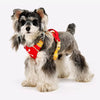 Adjustable Vest-Style Dog Harness
