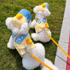 Summer Pet Harness, Leash and Hat Sets - p-00623