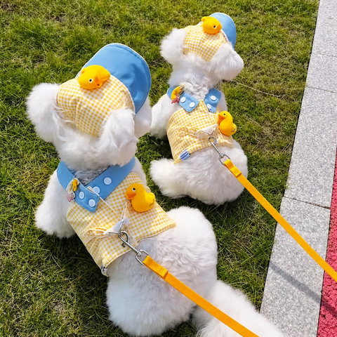 Summer Pet Harness, Leash and Hat Sets - p-00623