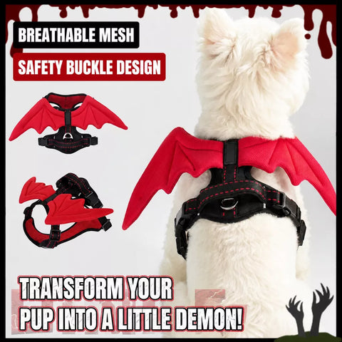 Winged Nylon Dog Harness with Leash Options
