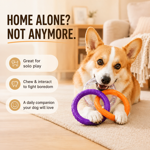 Interactive Dog Tug Ring Toy