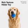 Interactive Electric Dog Ball Toy