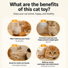 Interactive Rechargeable Cat Toy with Hideaway Cover