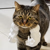 3D-Printed Arm Charm Neck Accessory for Cats and Dogs