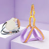 Small Dog Vest Harness