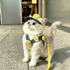 Summer Pet Harness, Leash and Hat Sets - p-00623