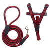Adjustable Nylon Pet Harness and Leash Set