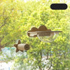 Window-Mounted Cat Climbing System with Perches and Scratching Posts