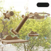 Window-Mounted Cat Climbing System with Perches and Scratching Posts