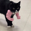 3D-Printed Arm Charm Neck Accessory for Cats and Dogs