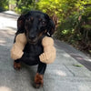 3D-Printed Arm Charm Neck Accessory for Cats and Dogs