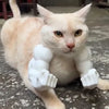 3D-Printed Arm Charm Neck Accessory for Cats and Dogs