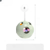 5-in-1 Planet Wobble Cat Toy