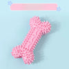 Dog Chew and Play Toys