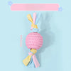 Dog Chew and Play Toys