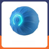 Interactive Squeaky Bouncing Ball Dog Toy