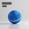 Interactive Electric Bouncing Ball Dog Toy