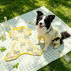 Lightweight Four-Leg Dog Shirt for Warm-Weather Wear