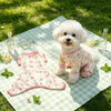 Lightweight Four-Leg Dog Shirt for Warm-Weather Wear