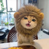 Animal Costume Hats for Dogs & Cats