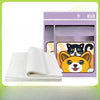Absorbent Pet Urine Cleanup Sheets