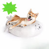 Semi-Enclosed Washable Cat Bed for Year-Round Use