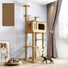 Cat Tree with Scratching Posts and a Hideaway