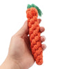 Interactive Dog Tug Toy