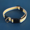 Adjustable Canvas Pet Collar