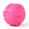 Paw Print Squeaky Ball Dog Toy