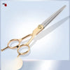 Stainless Steel Pet Grooming Shears