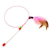 Steel Wire Cat Teaser Wand with Bell and Feather