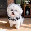 Breathable Dog Mesh Muzzle for Small and Medium Dogs - p-00279