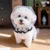 Breathable Dog Mesh Muzzle for Small and Medium Dogs - p-00279