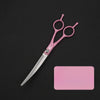 Stainless Steel Pet Grooming Shears - p-00343