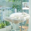 Cat Window Hammock with Suction Cups