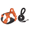 Adjustable Nylon Vest-Style Dog Harness with Leash