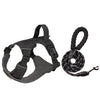 Adjustable Nylon Vest-Style Dog Harness with Leash