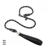 Nylon P-Chain Dog Training Leash