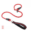 Nylon P-Chain Dog Training Leash