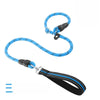 Nylon P-Chain Dog Training Leash