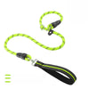 Nylon P-Chain Dog Training Leash