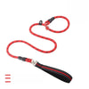 Nylon P-Chain Dog Training Leash