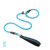 Nylon P-Chain Dog Training Leash