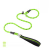 Nylon P-Chain Dog Training Leash