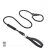 Nylon P-Chain Dog Training Leash