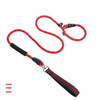 Nylon P-Chain Dog Training Leash