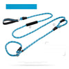 Nylon P-Chain Dog Training Leash